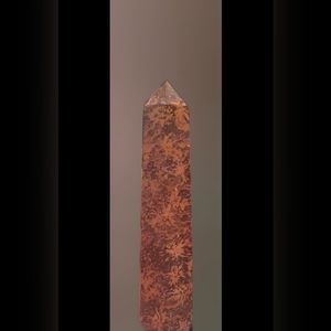 Mariam stone ( fossil )